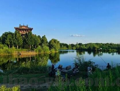 1818足球比分直播-1818足球比分直播，实时掌握绿茵场风云，球迷的终极观赛伴侣