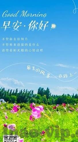 大羸家足球比分即时比分-揭秘大羸家足球比分平台，如何成为球迷的实时数据神器？