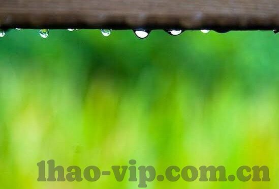 看足球比分的应用-看足球比分的应用，球迷的掌中宝，赛事的实时窗