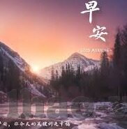 中央直播足球实时比分-中央直播足球实时比分，绿茵烽火，实时掌控的激情盛宴