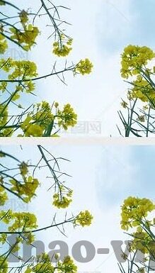 足球比分球探比分数据-深度剖析，足球比分与球探比分数据的价值与应用